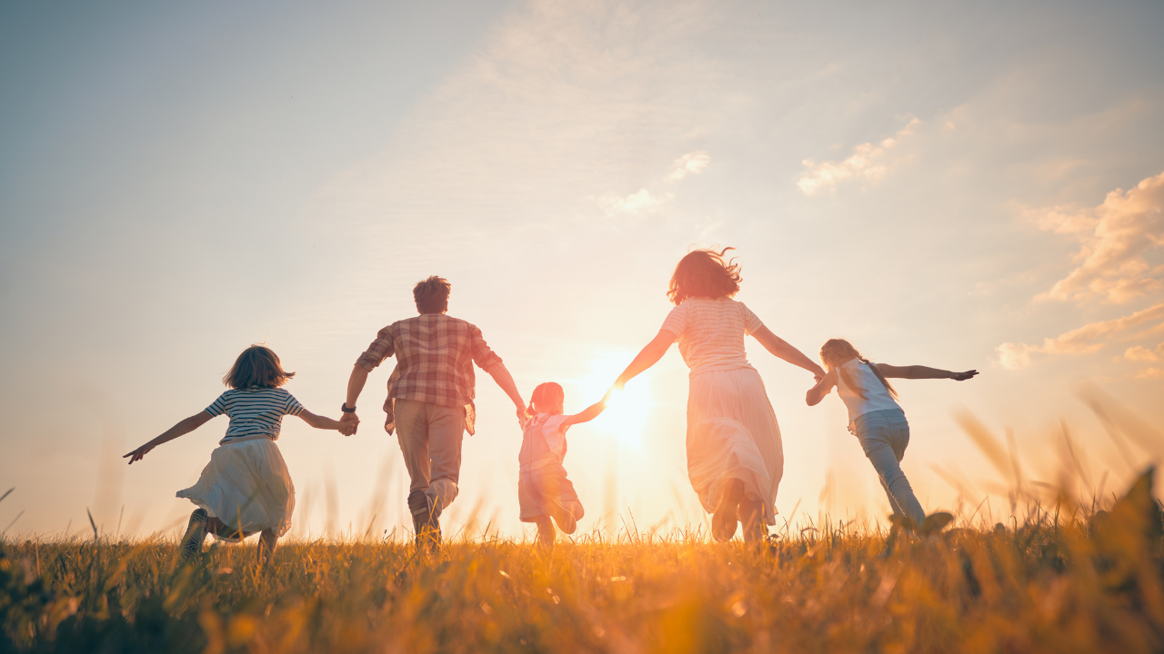 Aile Dizimi Nedir? Aile Dizimi Hakkında Bilmeniz Gerekenler